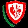 艾尼克费伦泽